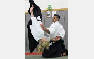 5d66a110cd133_StageAikidoMichelErb.jpg